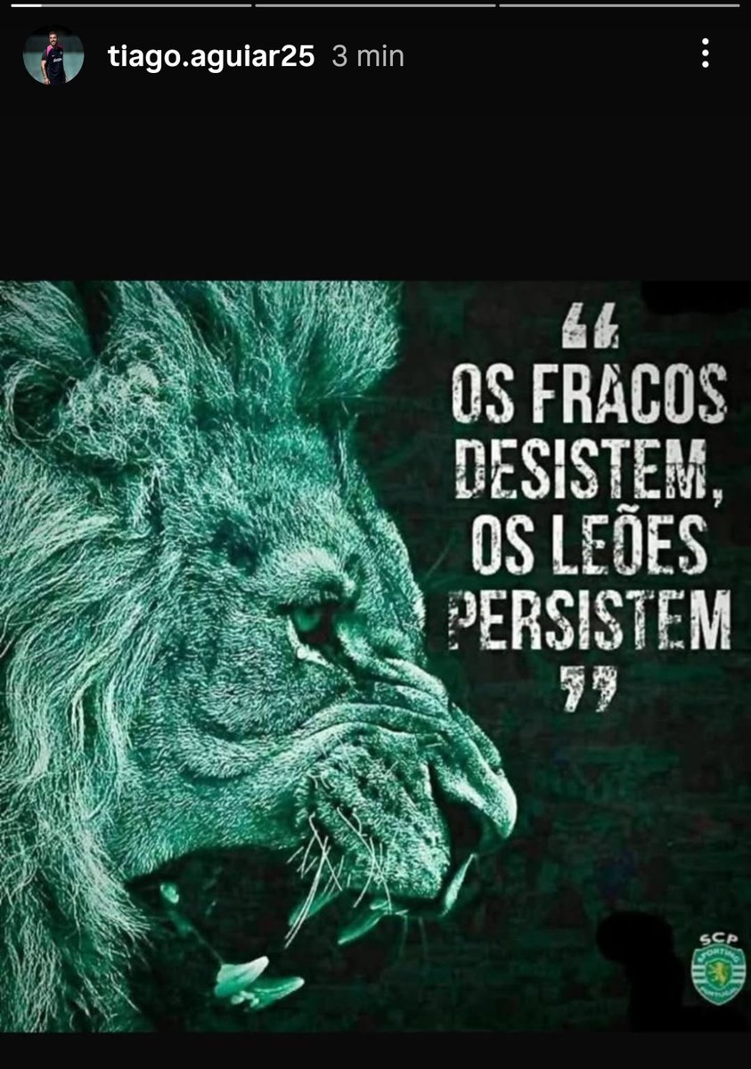 Raça de Leão 🏆🏆 tweet media