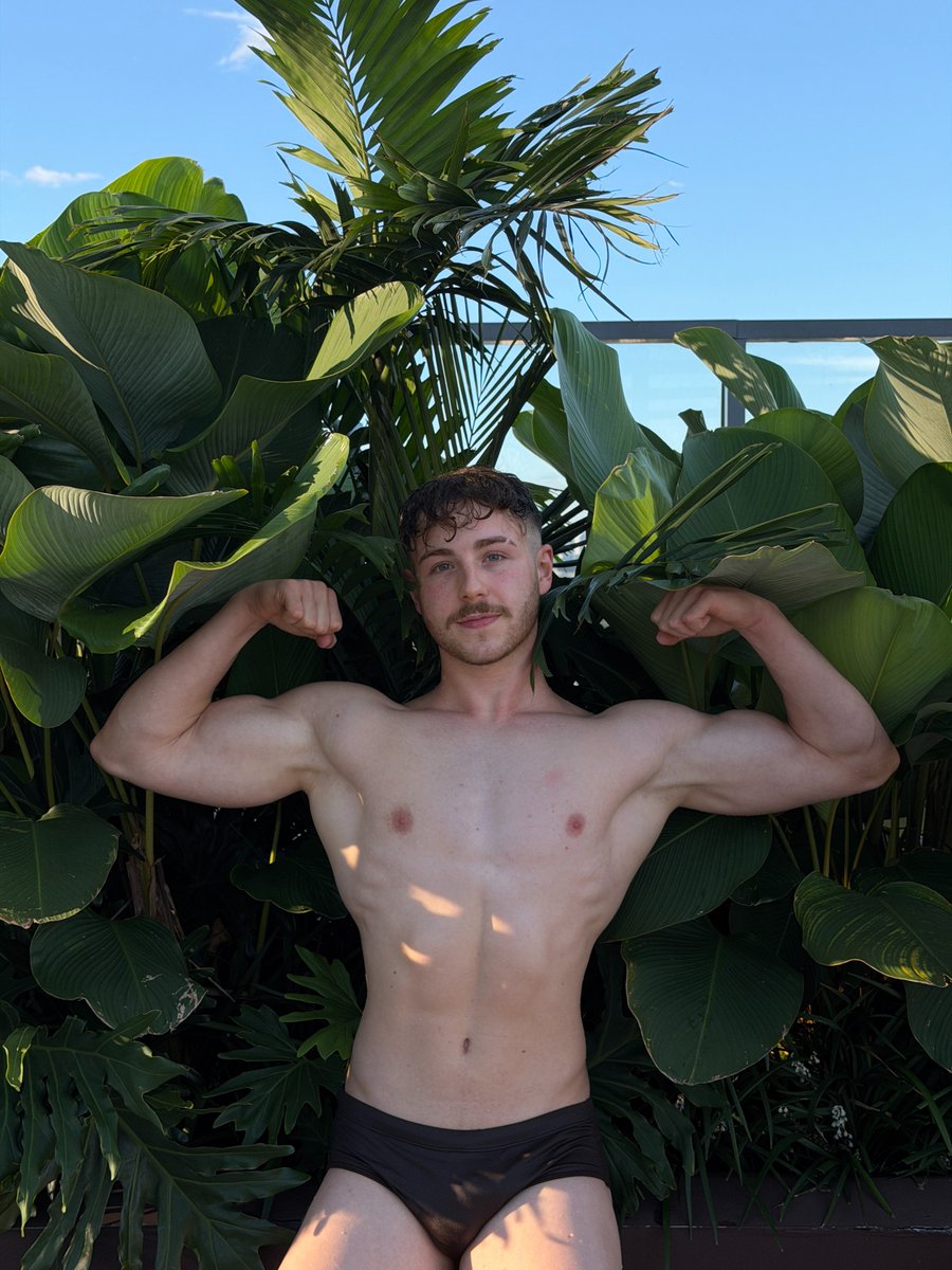 Manfred 🐼 tweet media