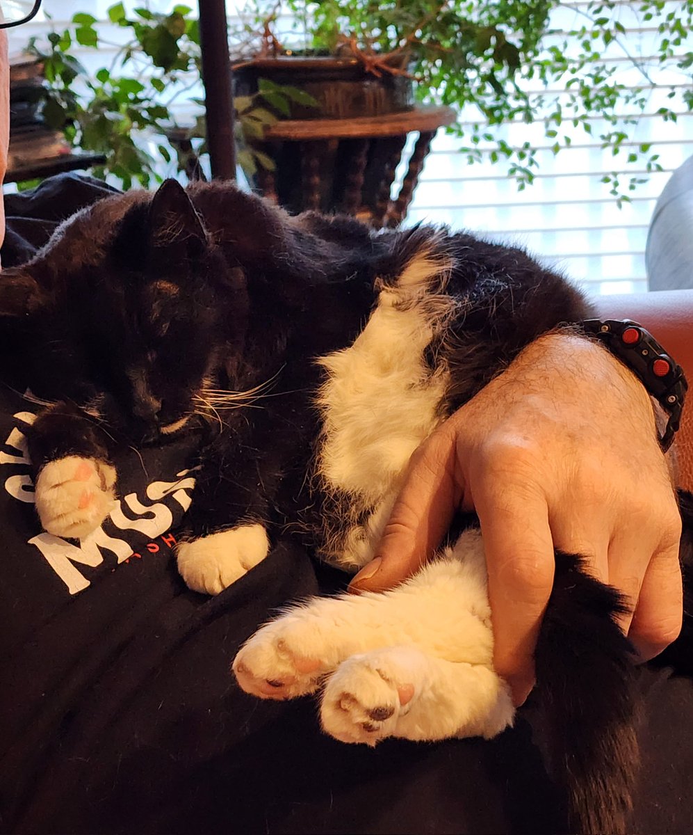 Kathleen Gorman #DecolonizeSocialWork #Anti-Racist tweet media