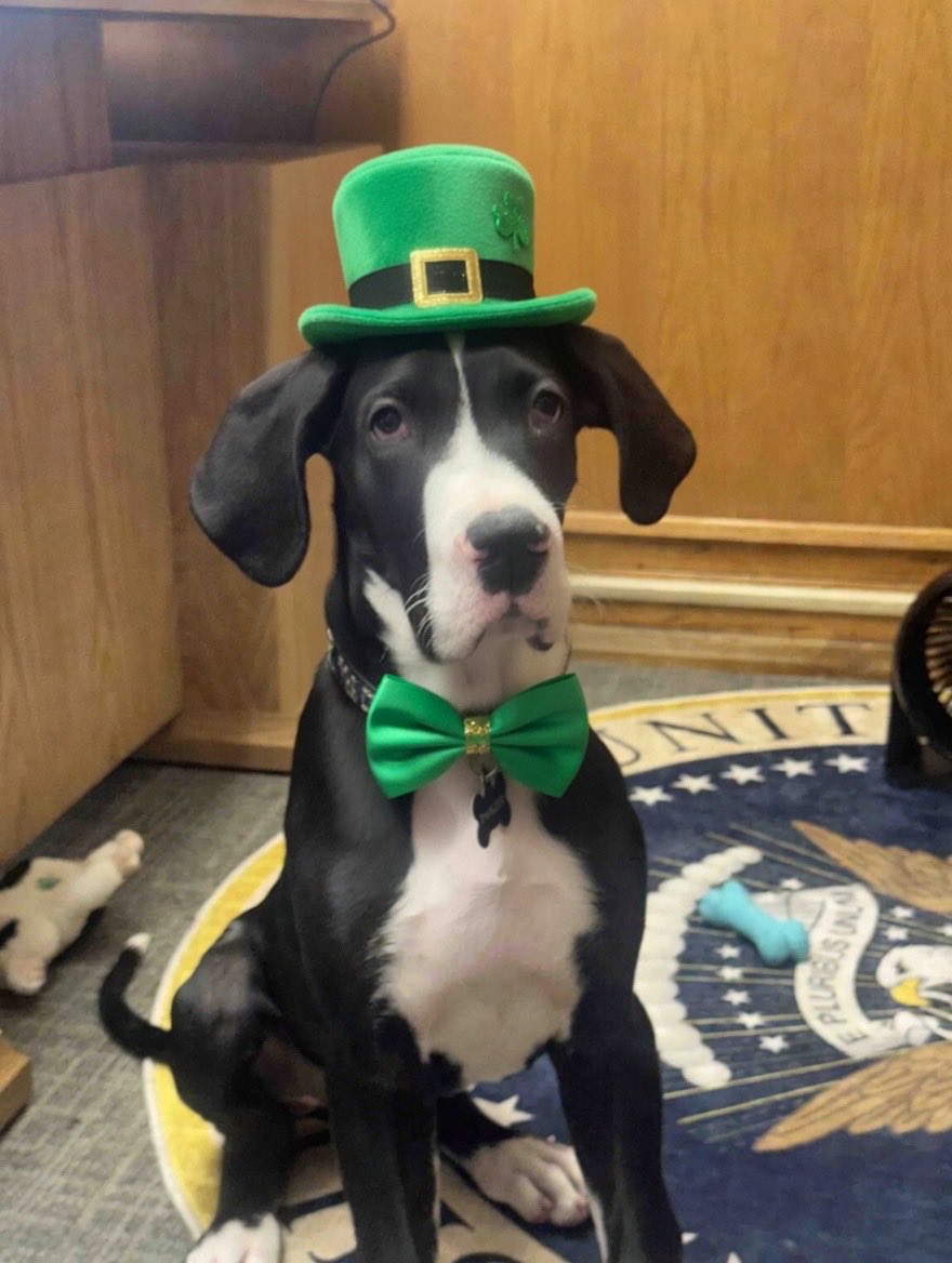 Dan Woog tweet media