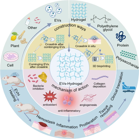 Dermal Cell News tweet media
