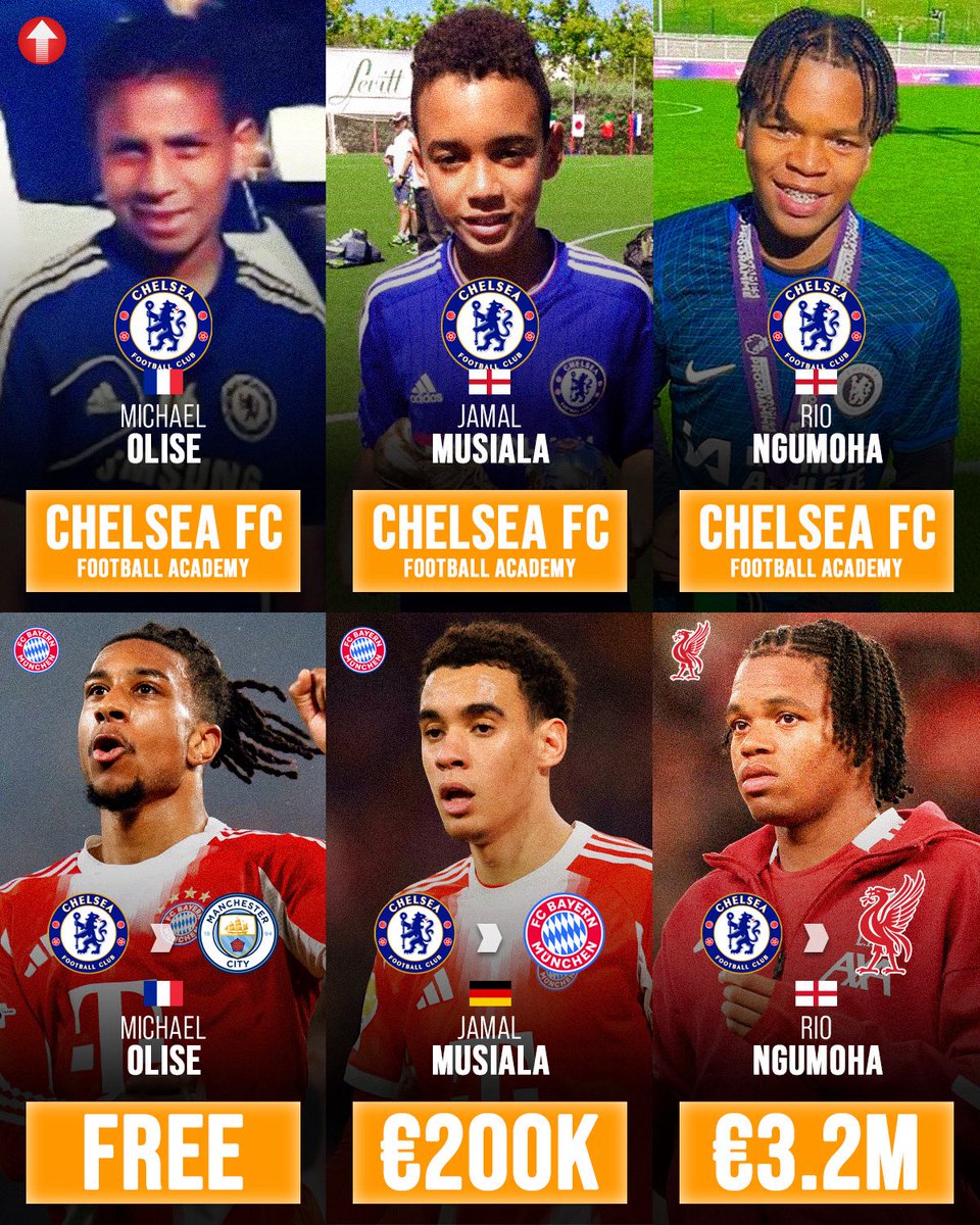 Pro Future Stars tweet media