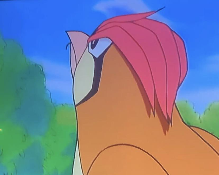 Bat Vibes tweet media