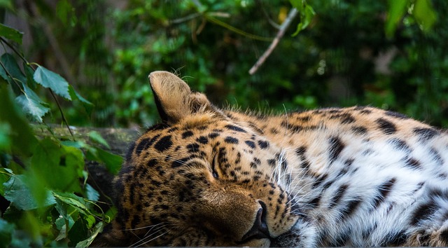 Jeremy Simpson tweet media