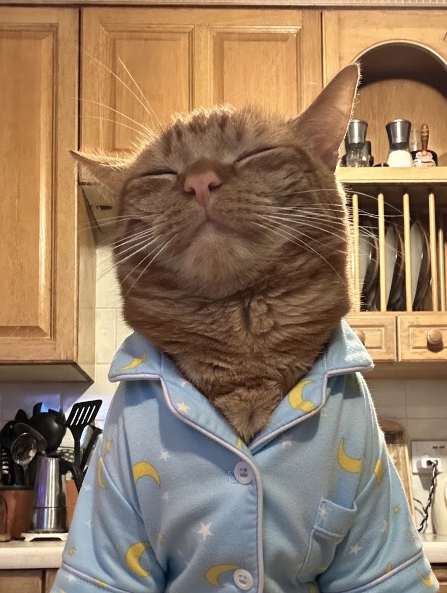 In his jimjams, looks like he’s ready for bed 😂 #orangejim 

#AI