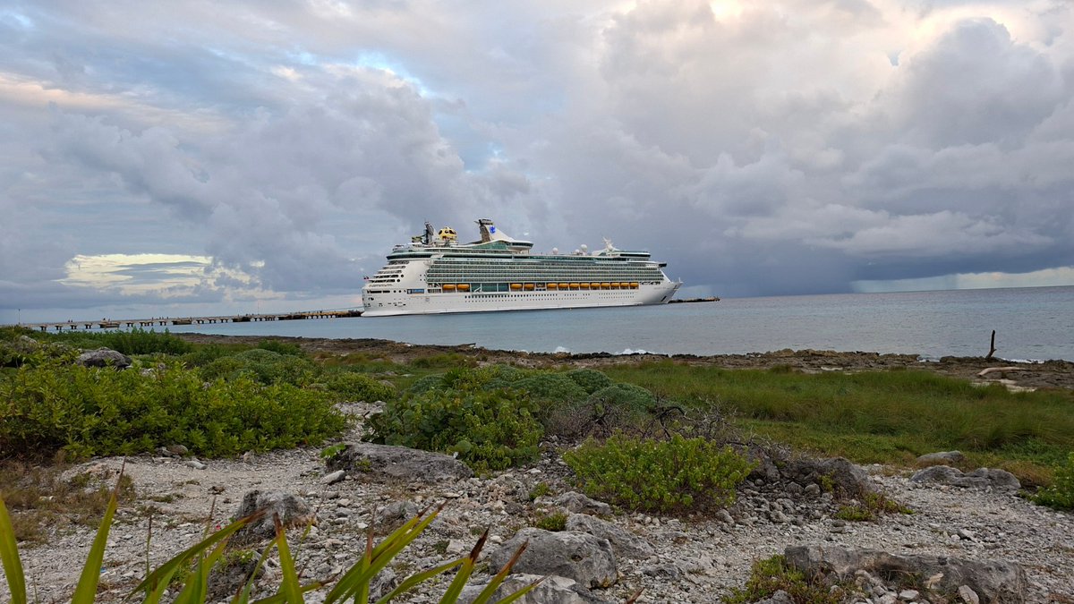 Greenpeace México tweet media