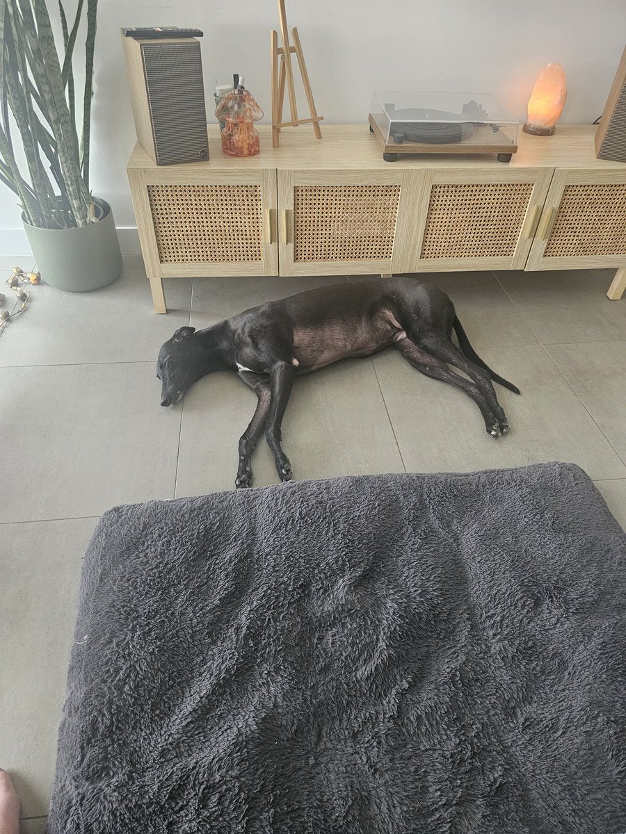 Audrey Jones - Birthday Girl 🧁 tweet media