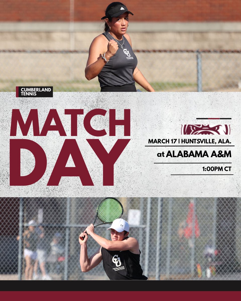 Cumberland Phoenix tweet media