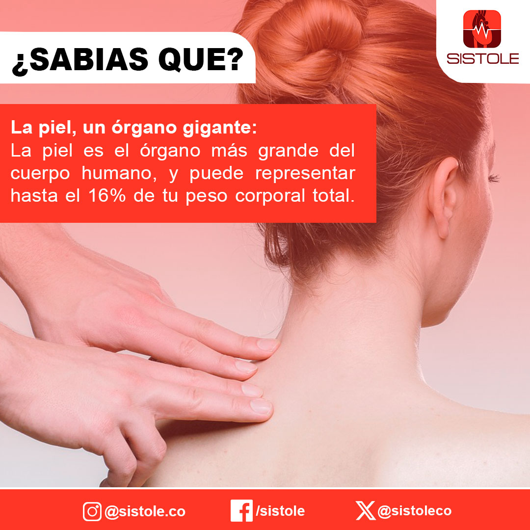 Sistoleco's tweet photo. ¿SABÍAS QUÉ?:
Conoce como #funciona la #piel 🙌💆💆♂️ el #organo mas #grande en tu 🫵🫵🫵 #cuerpo #humano que nos ayuda a estar muy #sanos 🥰☺️🙃😁😄😃.
Visita nuestra plataforma ❤️🔥💪
AQUÍ 👉👉: https://t.co/LWcOGYBVmA https://t.co/uOZx0Tptn3