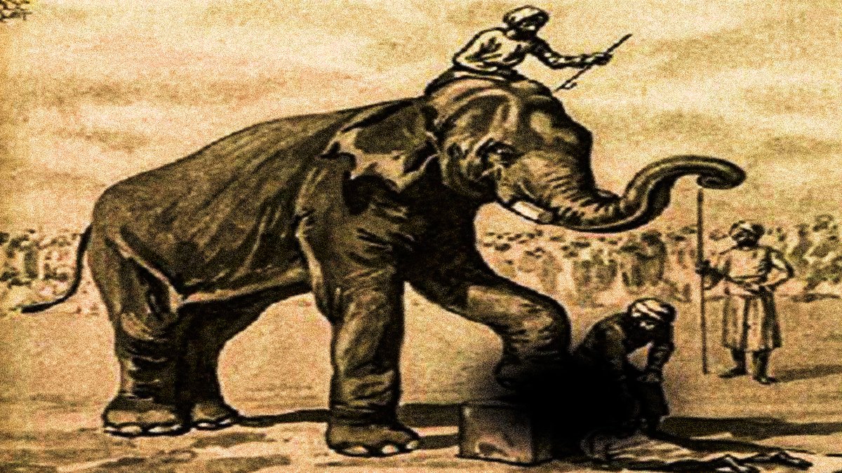 El Traje Con Voz tweet media