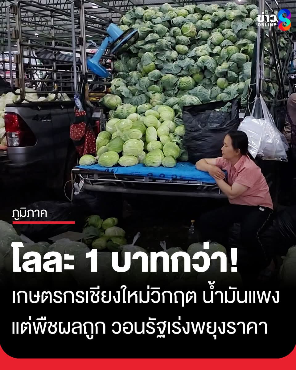 ถือแถน tweet media