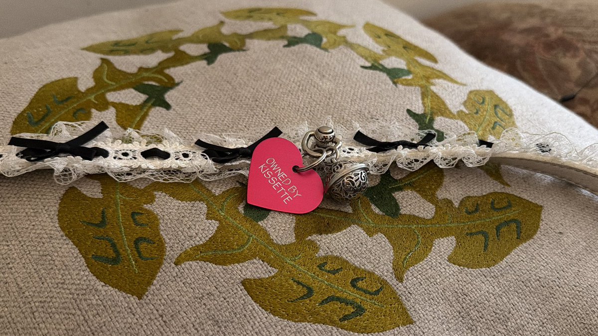 ౨ৎkissette tweet media