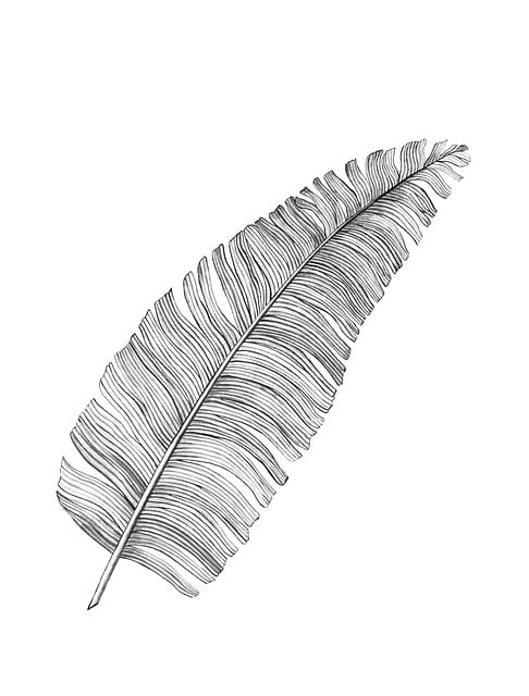 Ron Vogel tweet media