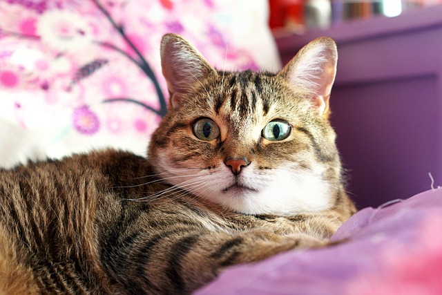 Andrew Desjarlais tweet media