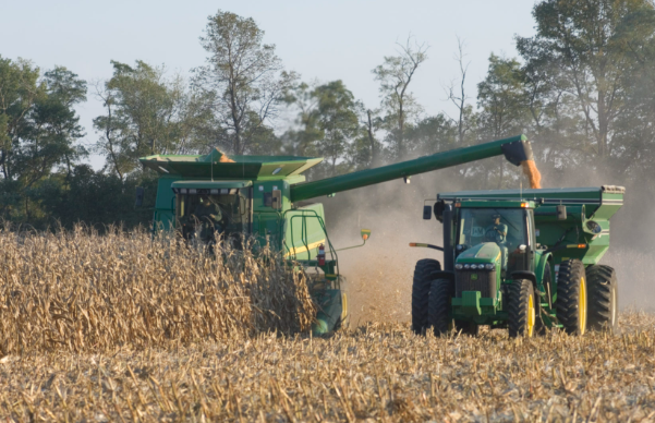 subwxxf 🏴☠️ tweet media