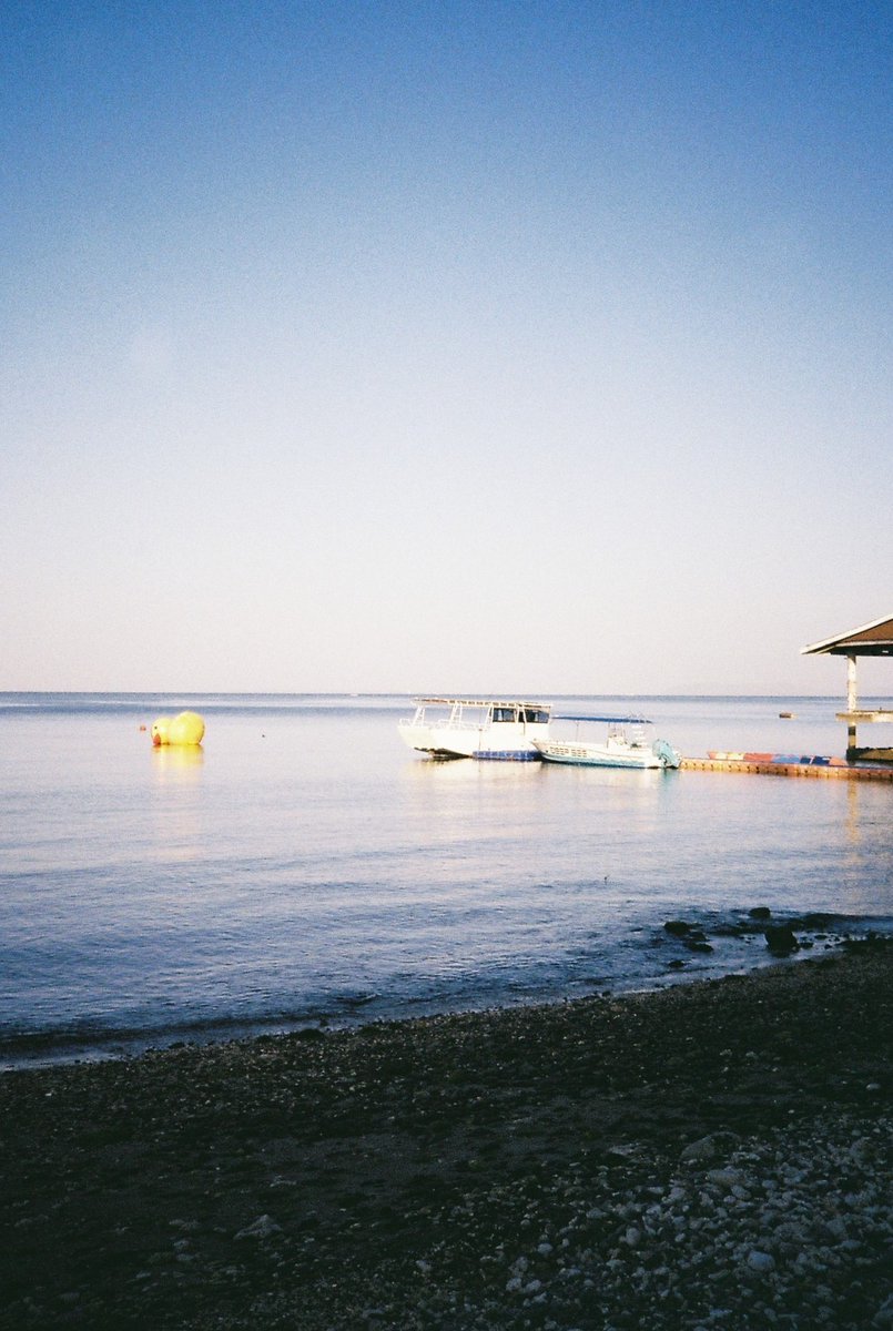 melshts's tweet photo. 📌 Bauan, Batangas
Ricoh FF9s | Fujifilm 200 https://t.co/GpnfnXJoHr