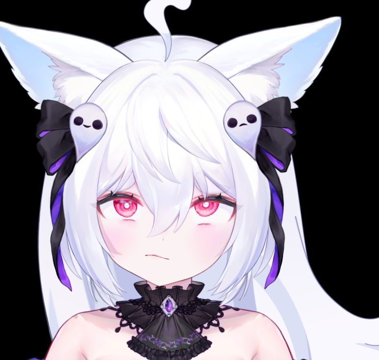 Pooky Boo👻🐾 tweet media