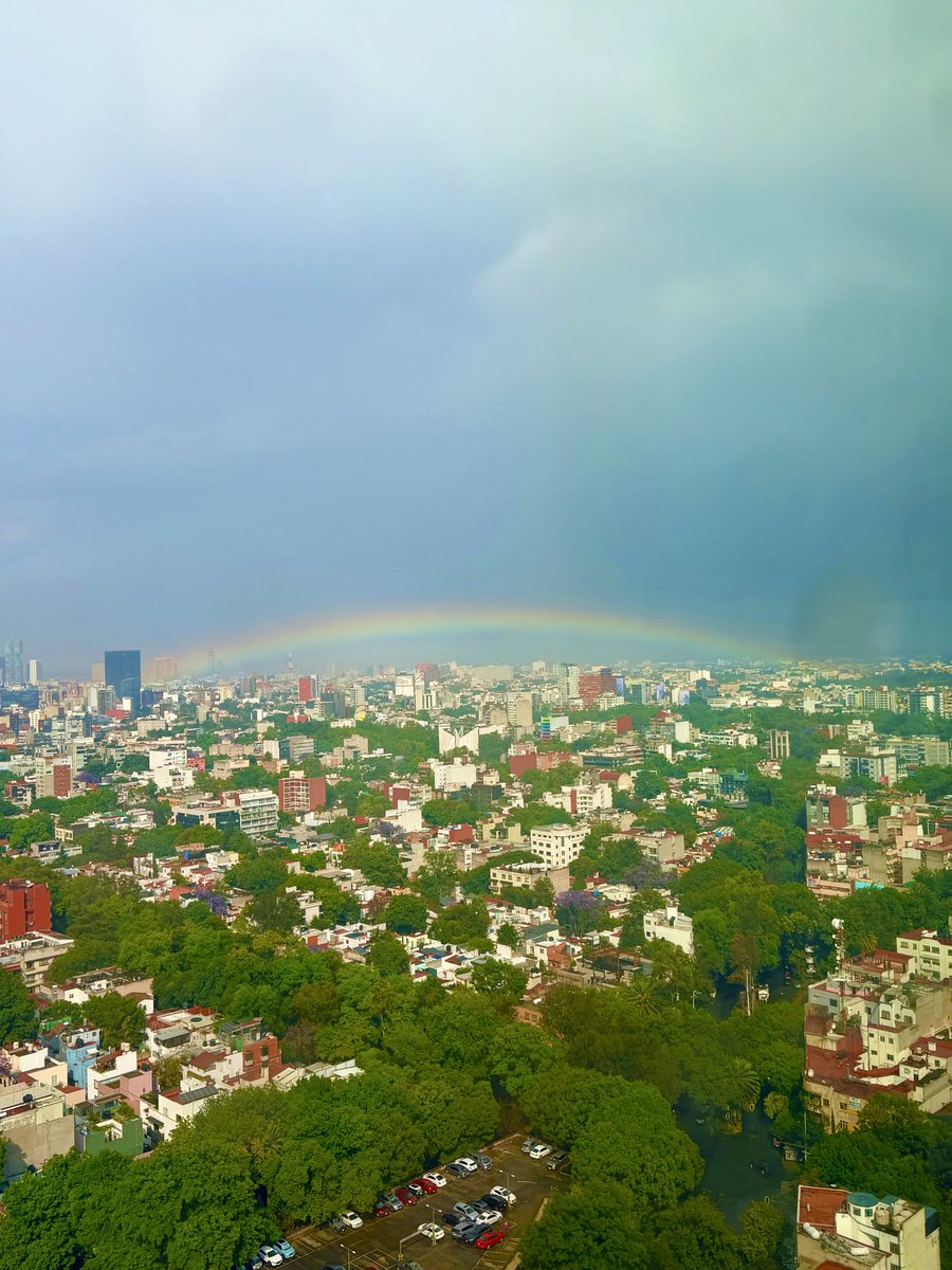 María De Haas tweet media