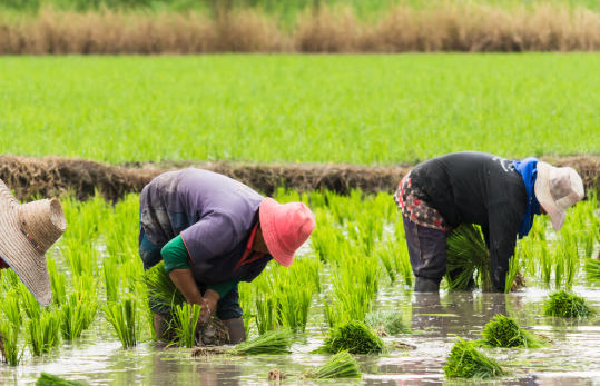 subwxxf 🏴☠️ tweet media