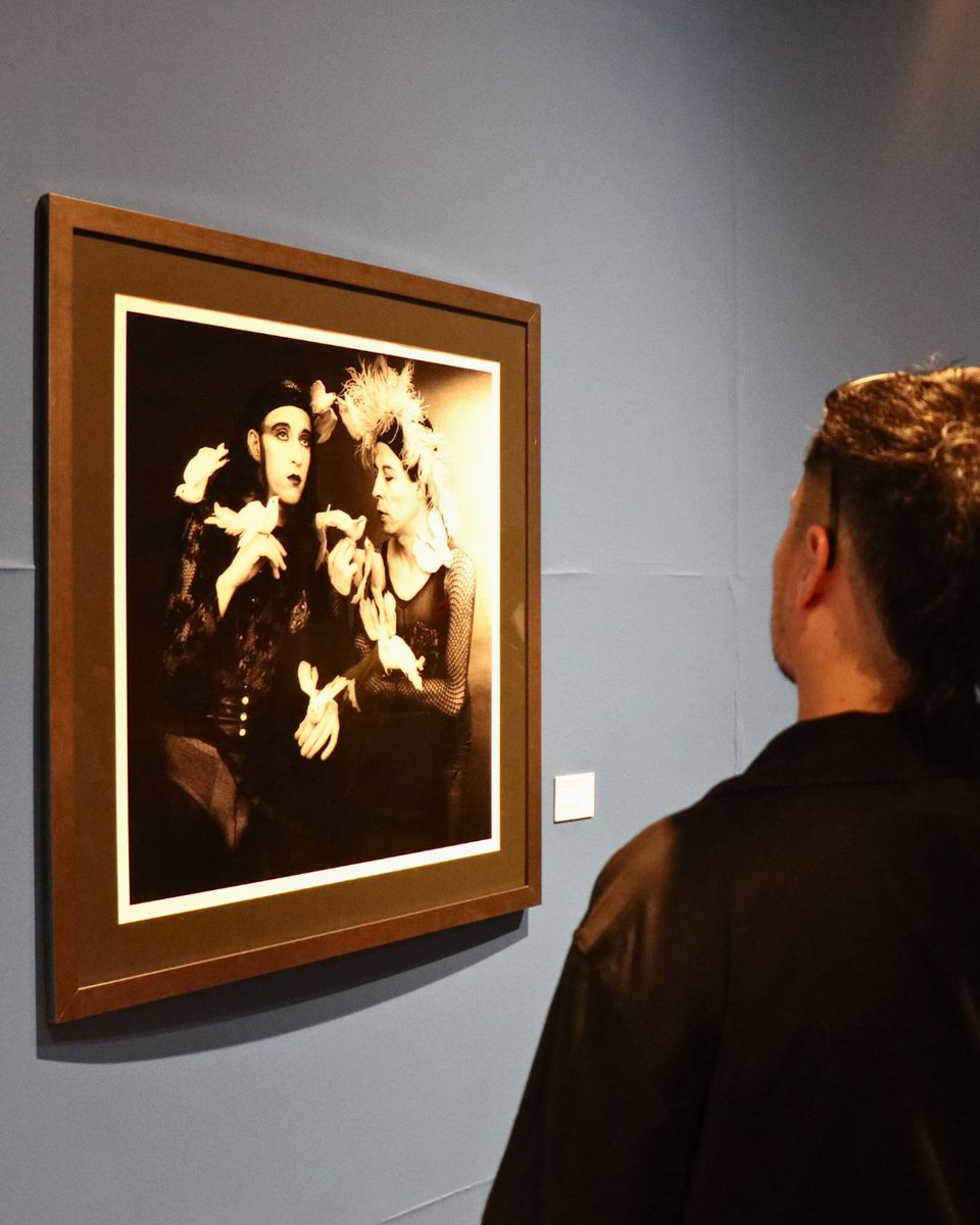 Gabrielgtzg's tweet image. La #Expo con el trabajo de las "Yeguas del Apocalipsis", Francisco Casas y #PedroLemebel, se exhibe en el Museo Nacional de Bellas Artes de Chile. 

La expo luego viajará a México para exhibirse en el @museodelchopo