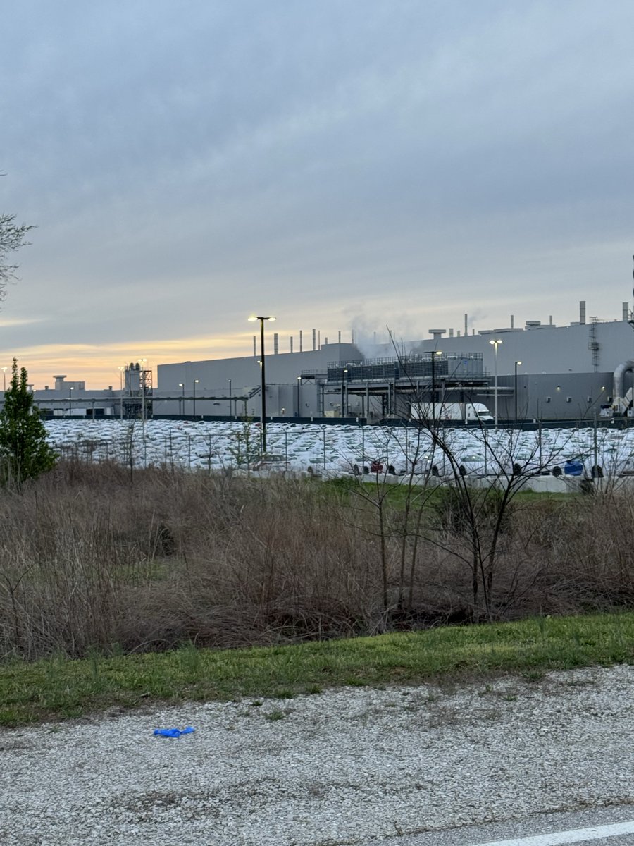 xPhoenix tweet media