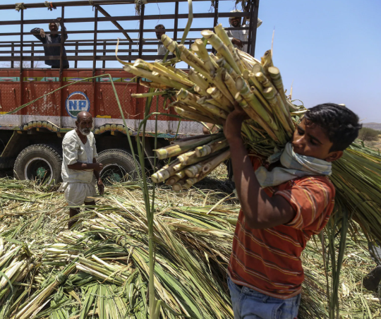 subwxxf 🏴☠️ tweet media