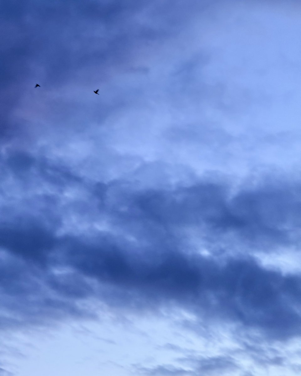 just jane tweet media