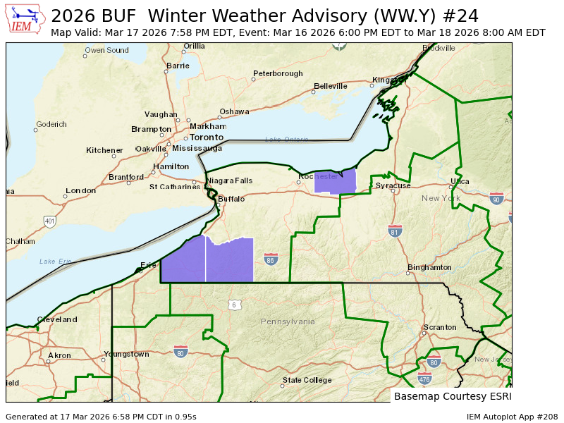 Autumn Lewandowski tweet media