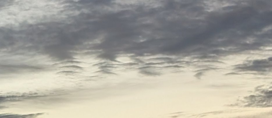 wxKobold tweet media