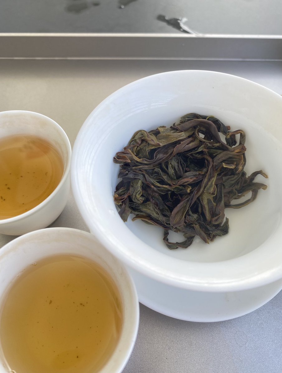 出張先であっても、朝一番の楽しみは、やはり一杯のお茶を淹れること。
いつの間にか、お茶は日常のひだにそっと溶け込み、欠かせない相棒となりました。
本日は神戸の海辺にて、やわらかな潮風に吹かれ、大海原を眺めながら一服。