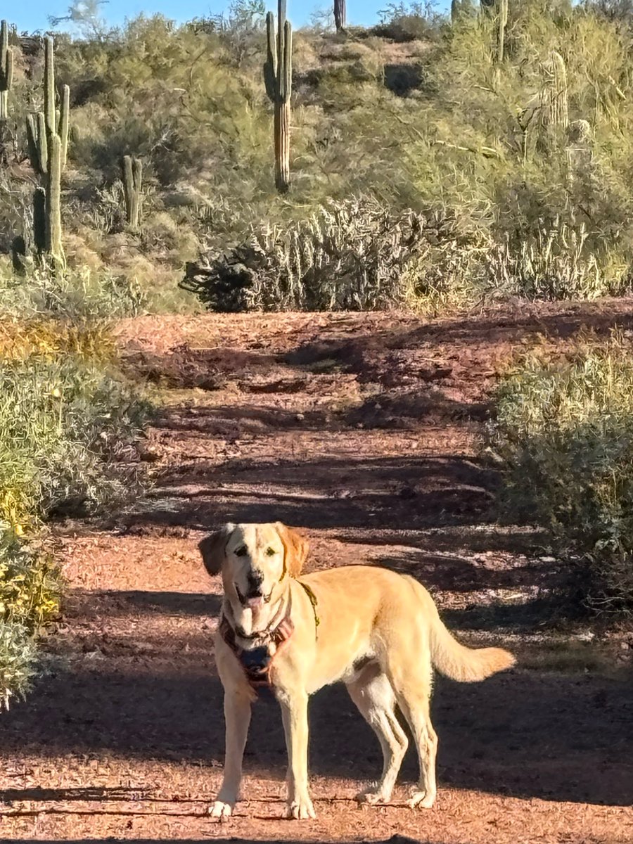 Michael E. Smith tweet media