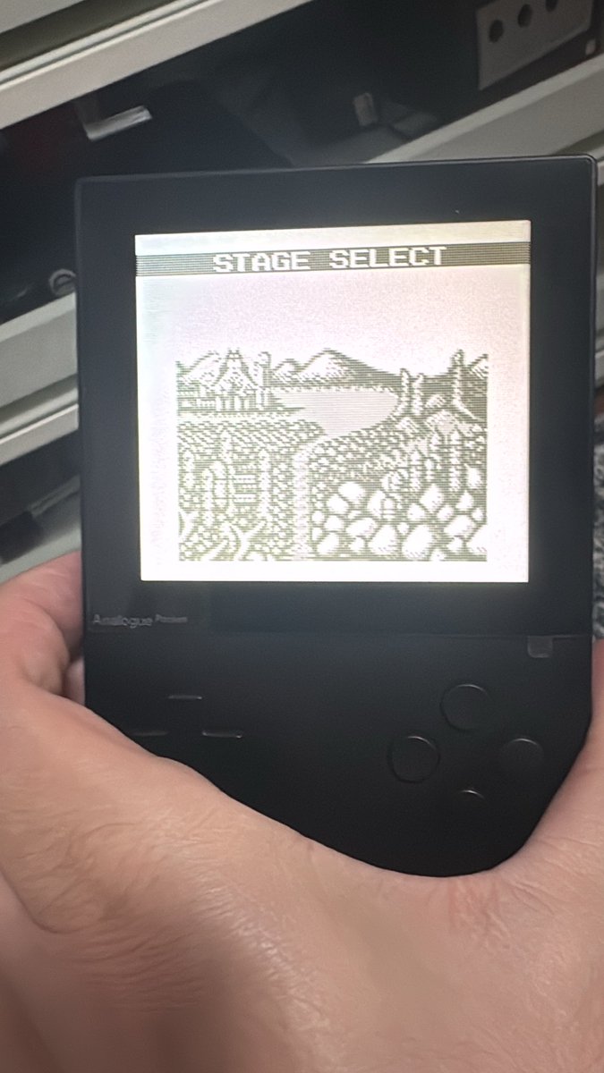 Renato Almeida tweet media