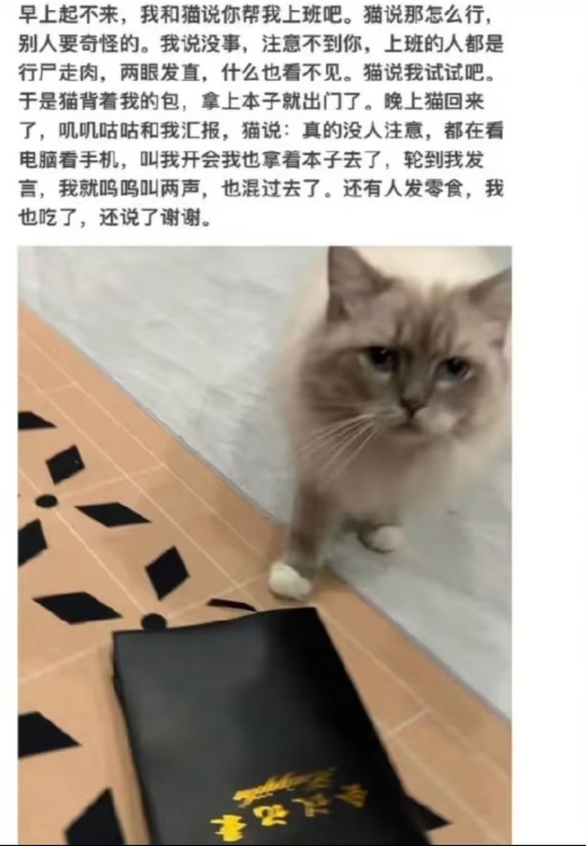 エチカ tweet media