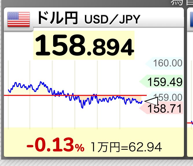 日経うさぎ tweet media