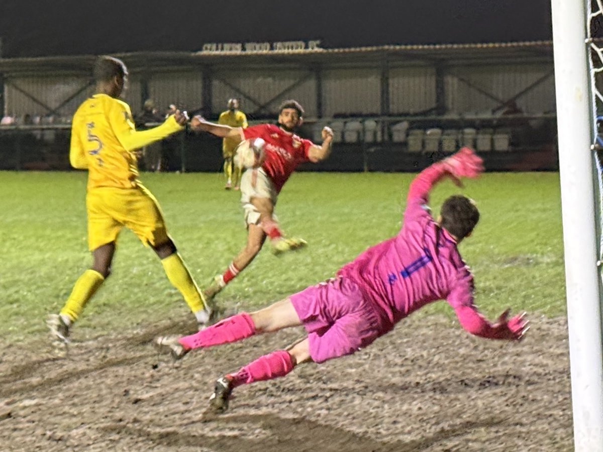 Mark 🇬🇧🐺🍁🐅🎭🎼 tweet media