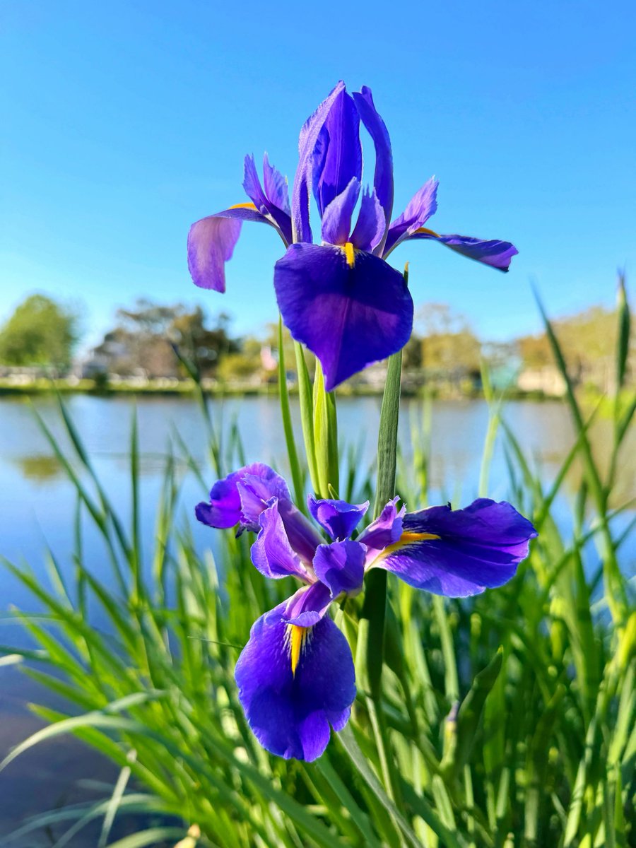 David Nola tweet media