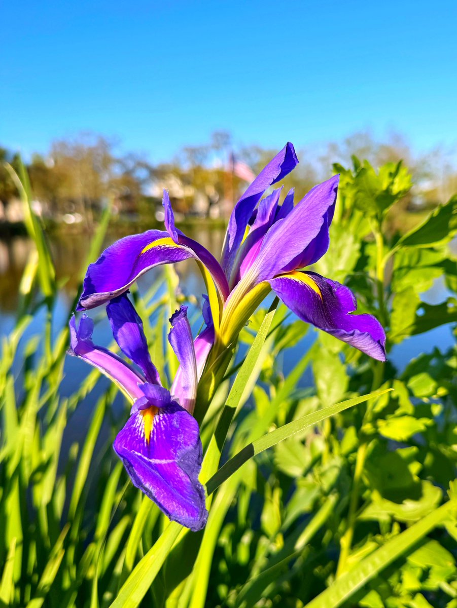 David Nola tweet media