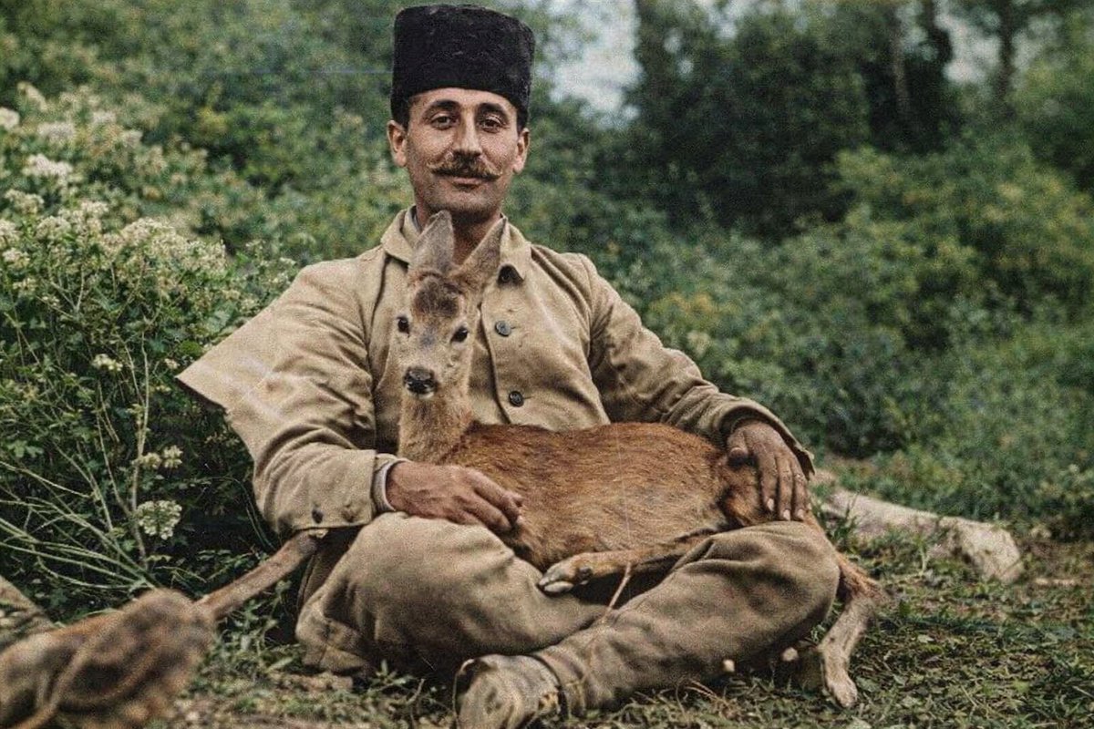 Daily Turkic tweet media