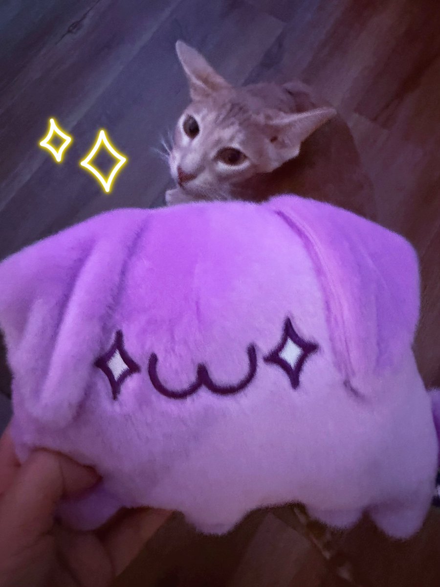 chrchie 🦎⭐️ lizard girl tweet media