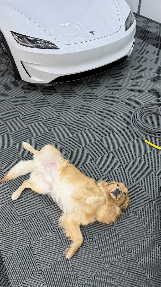 Coleton Guerin tweet media