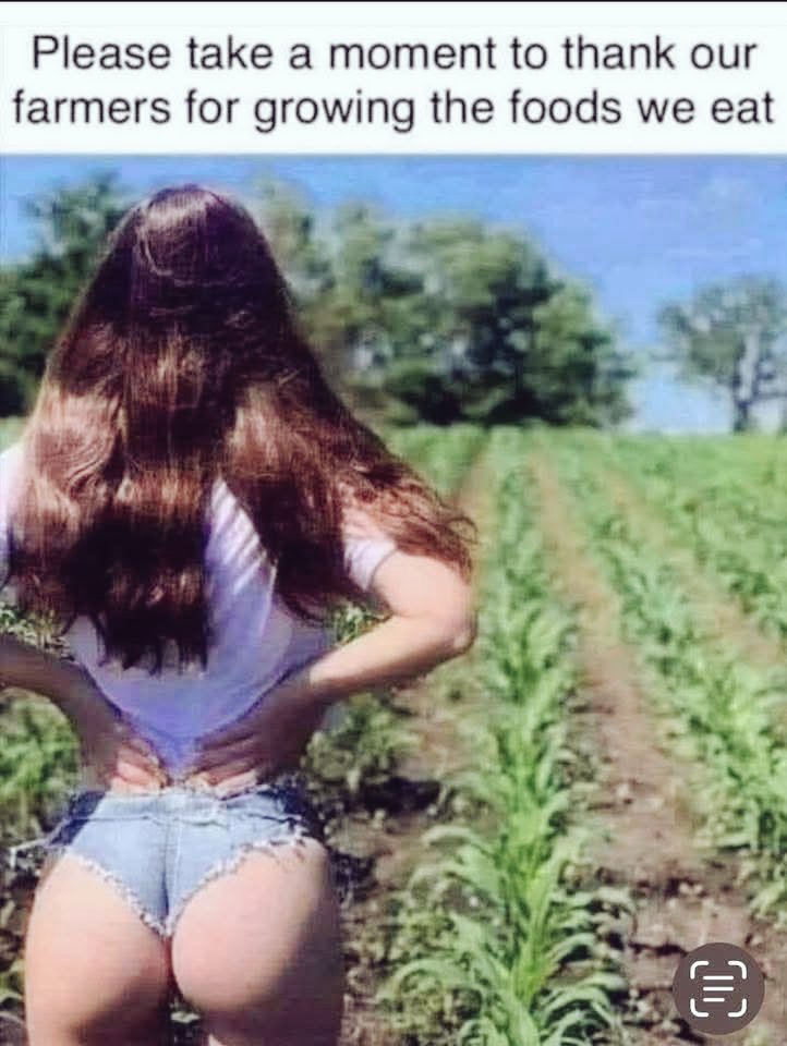 HyperXAware's tweet image. Happy St. Patrick 's Day !!!

Party Safely, and always Remember ..
👇 👇 👇 👇 👇 👇 👇 👇 👇 👇

👩‍🍳  Farm to Table MotherF**ker 🌾

#StPatricksDay #doordashfairy #StPaddy