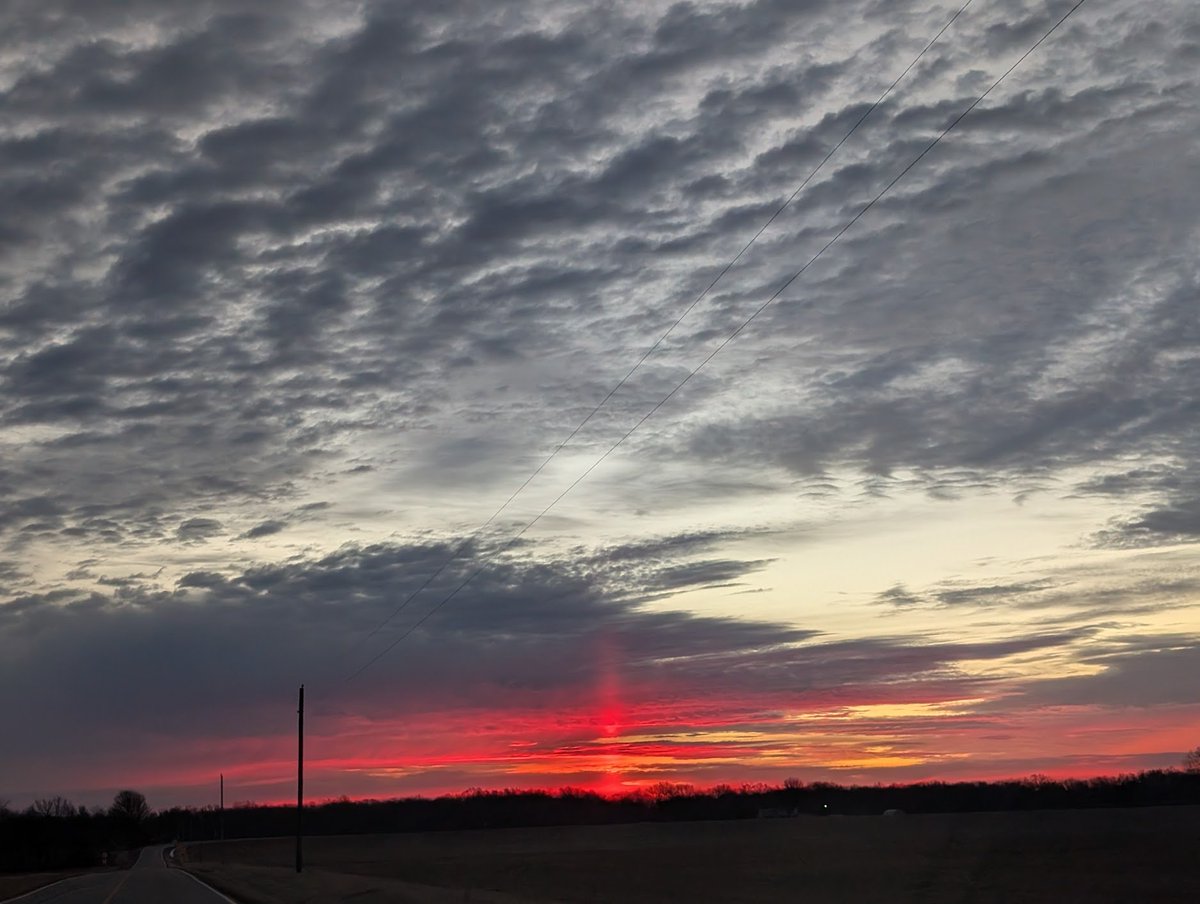 wxKobold tweet media