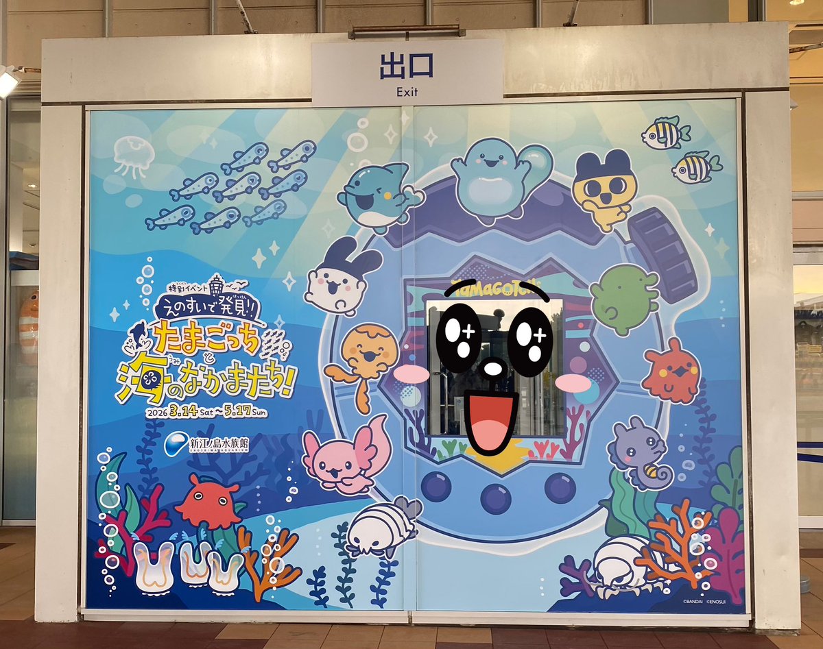 rin_100615's tweet photo. #えのたま #新江ノ島水族館 https://t.co/0H1Blnyi32