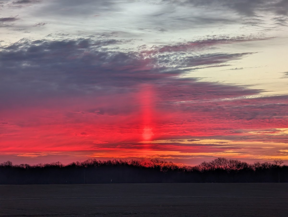 wxKobold tweet media