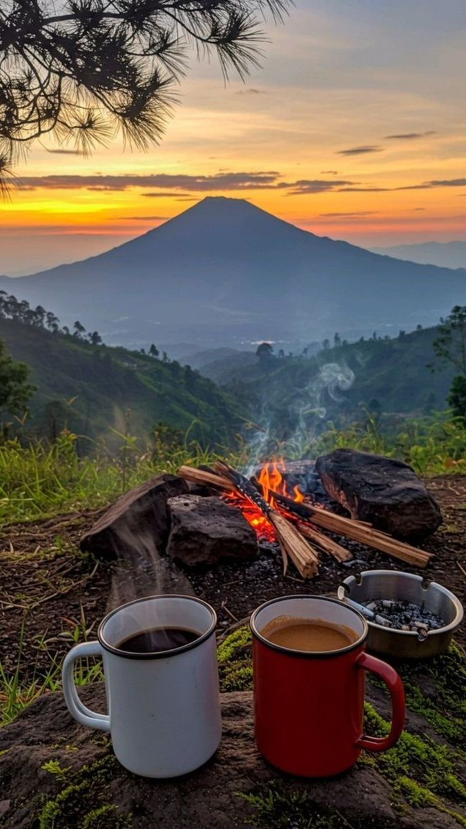 Mohsin Murtaza tweet media