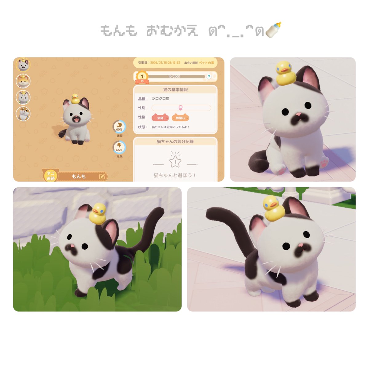 ᴘɪʏᴏᴄᴏ tweet media