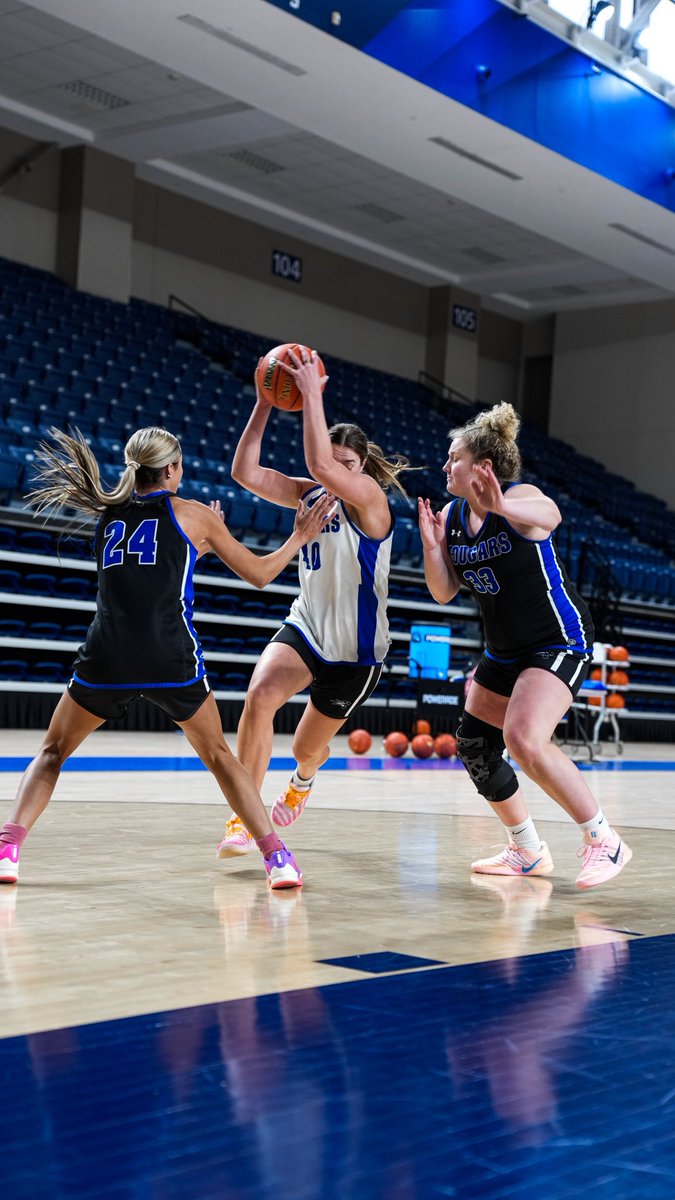 SF Women's Basketball tweet media