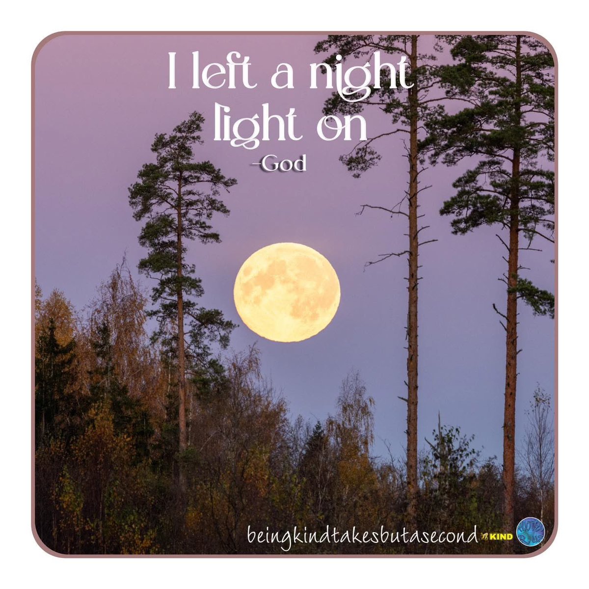 @quotesrus/fb tweet media