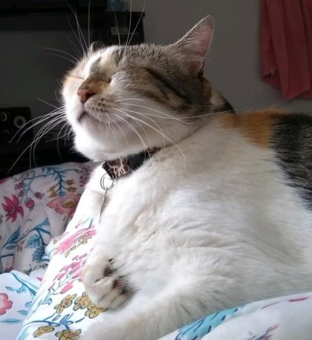 moon 🥂🧙‍♀️🍍 tweet media