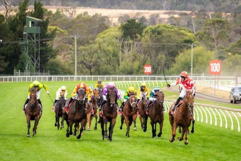 Tasracing Australia tweet media